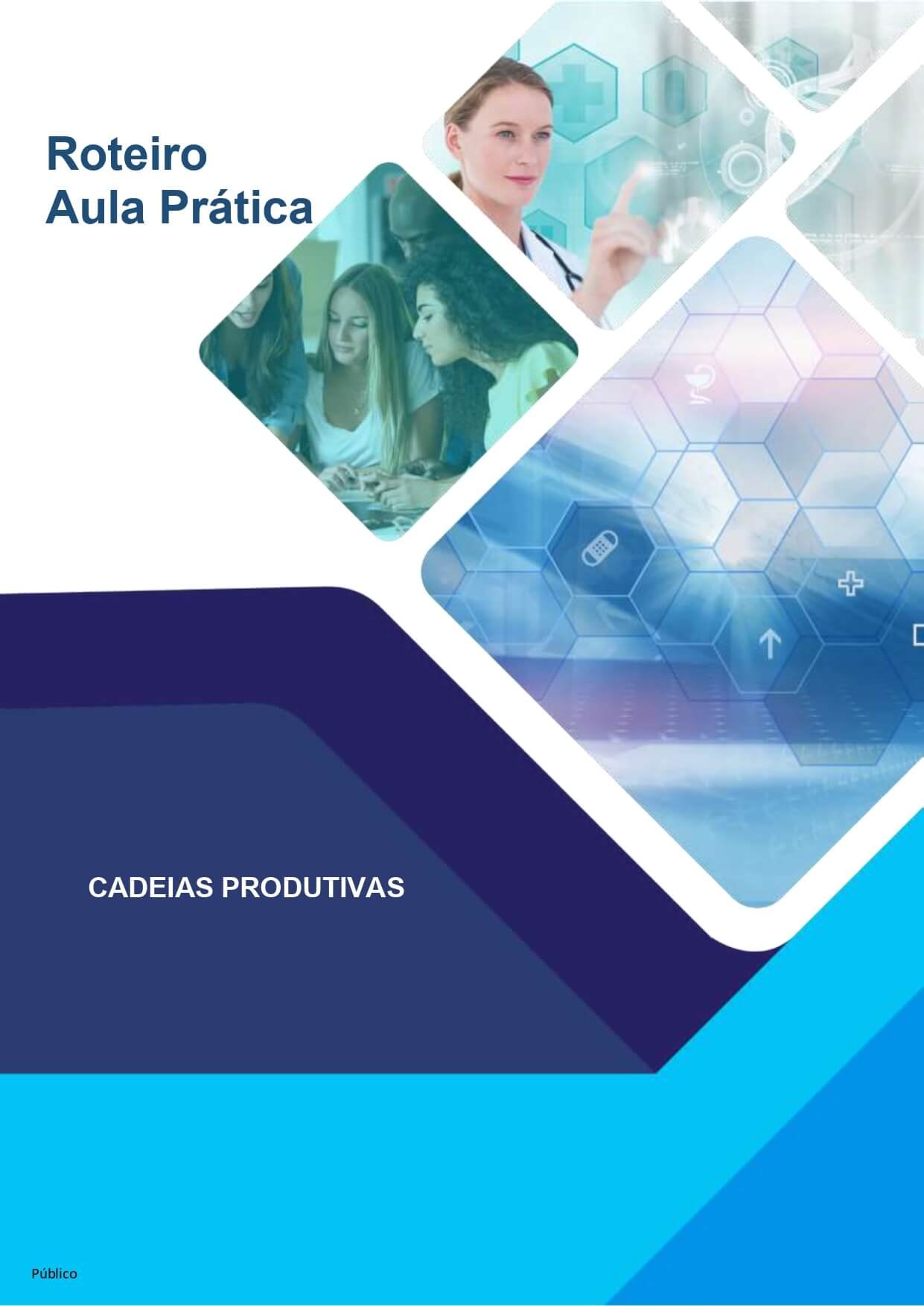 Portfolio-Aula-Pratica-Cadeias-Produtivas.jpg